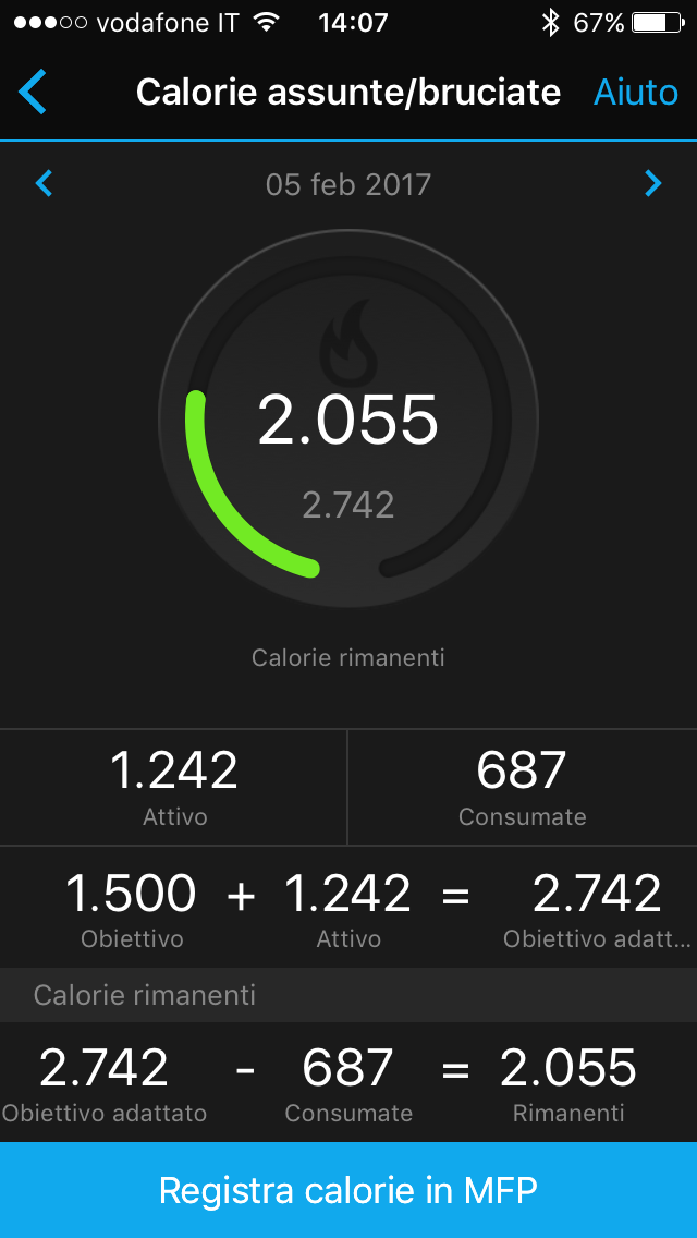 garmin calorie