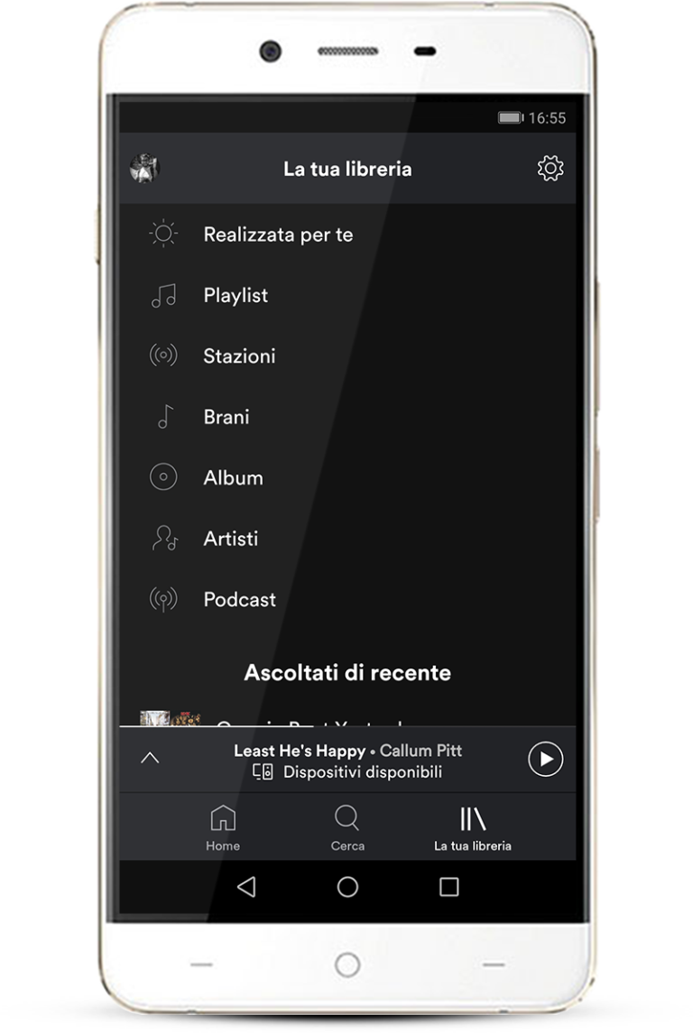 garmin with spotify offline