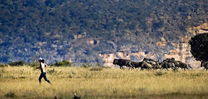 big five marathon sud africa
