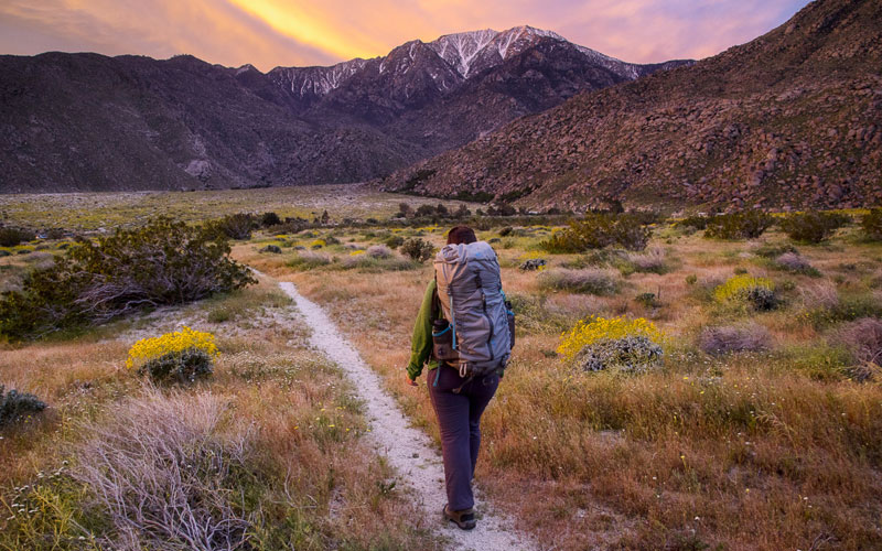 pct california canada