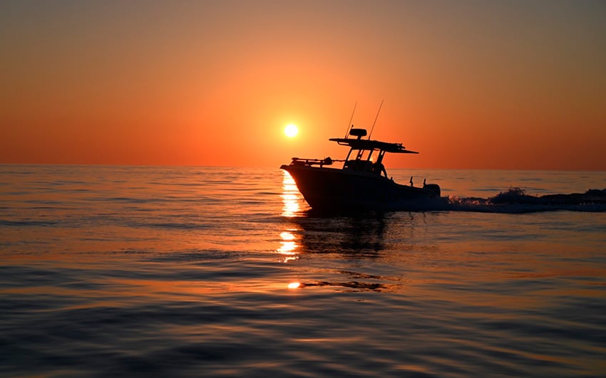 pesca in estate