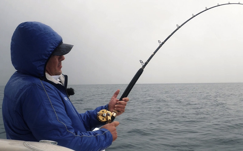 cosa pescare in inverno