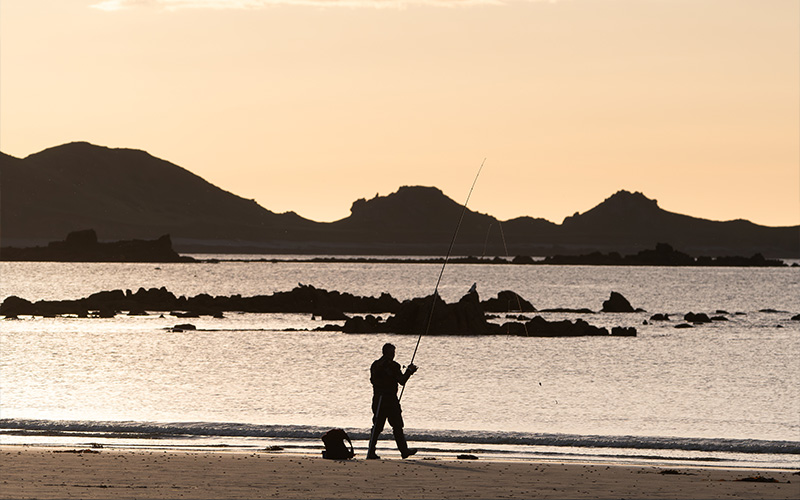 cosa serve per il surfcasting