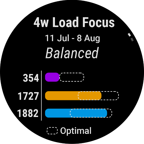 Training load focus screen